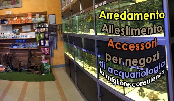 arredamento allestimento accessori per negozi acquariologia italia