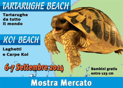KOI BEACH la prima mostra dedicata al mondo dei laghetti e carpe koi e non solo, 6 - 7 settembre 2014 - Cesena Fiera