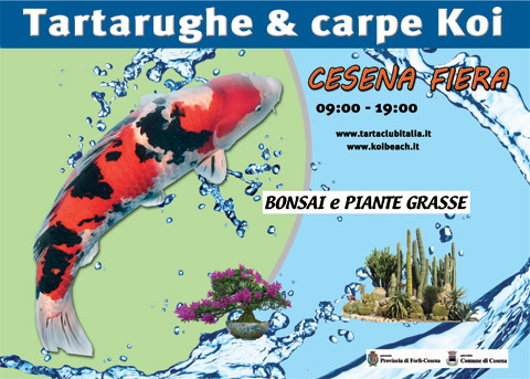 KOI BEACH la prima mostra dedicata al mondo dei laghetti e carpe koi e non solo, 6 - 7 settembre 2014 - Cesena Fiera