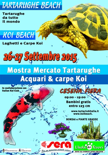 tartarughe beach 2015 cesena