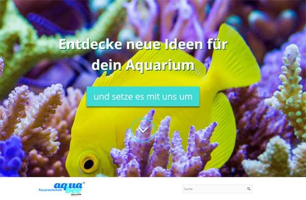 aquabee de - Entdecke neue Ideen für dein Aquarium | Aquabee