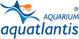 Aquatlantis Aquarium - Aquariums & Accessories Manufacturing