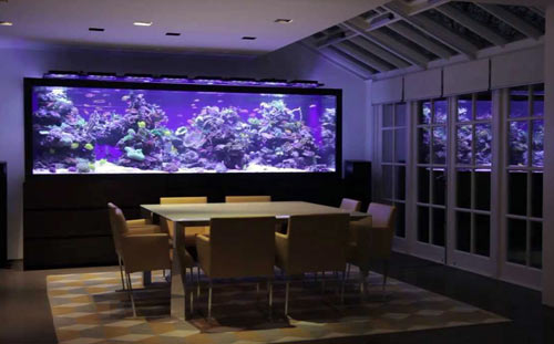 luxury aquarium design