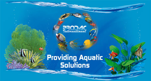PRODAC International Providing Aquatic Solutions - Mangimi e prodotti per acquario dolce e marino di alto livello.