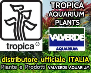 TROPICA AQUARIUM PLANTS - distributore ufficiale ITALIA Piante e Prodotti: VALVERDE AQUARIUM