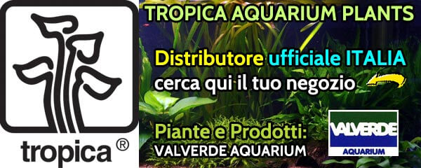 TROPICA AQUARIUM PLANTS - Distributore ufficiale ITALIA Piante e Prodotti: VALVERDE AQUARIUM