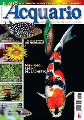Il mio acquario rivista di acquariofilia in edicola il n.167 mese di Agosto 2012