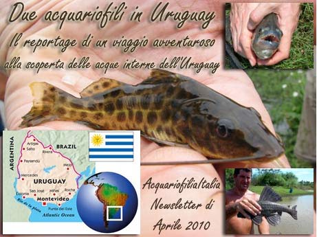 uruguay viaggio avventura acquario pesci 01