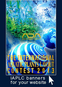 The World's Largest Nature Aquarium and Aquatic Plants Layout Contest 2013