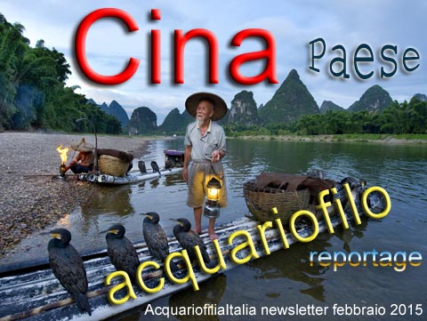 Cina, paese acquariofilo, reportage di Gunther Schmida, naturalista.